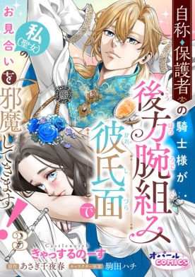 自称・保護者の騎士様が後方腕組み彼氏面で私（聖女）のお見合いを邪魔